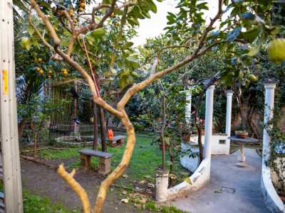 Accediamo ora al vero e proprio giardino per ritrovarci immersi in un panorama quasi campestre situato sorprendentemente in pieno centro cittadino